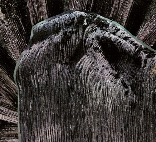 Fleshpress - Viimeinen saavutettu tahto CD