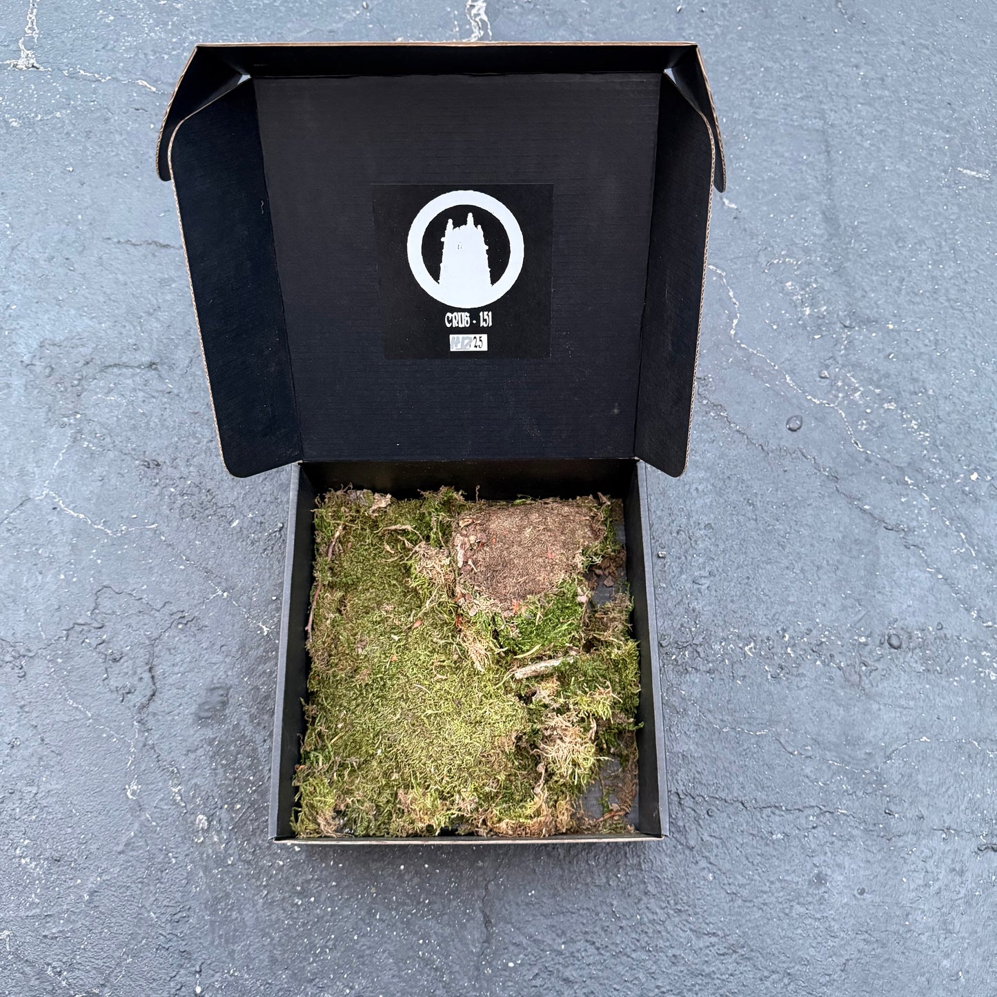 Sonambule - Spirits Are Real And They Will Possess You (Special Edition Box Set)