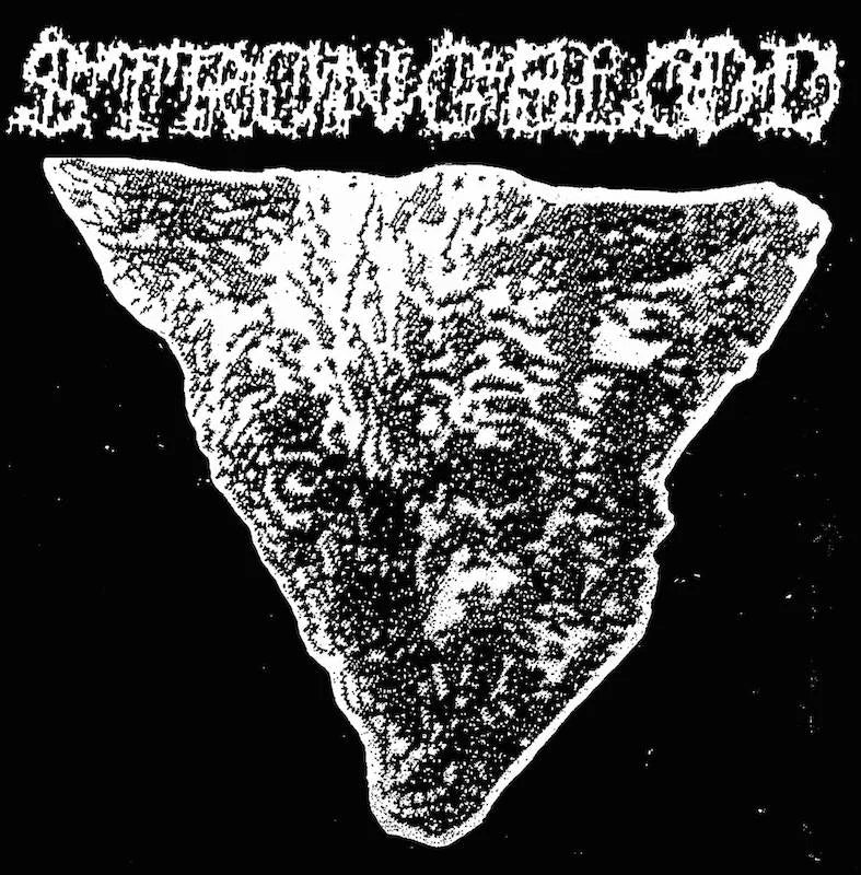 Strongblood - The Beaten Paths of Youth LP