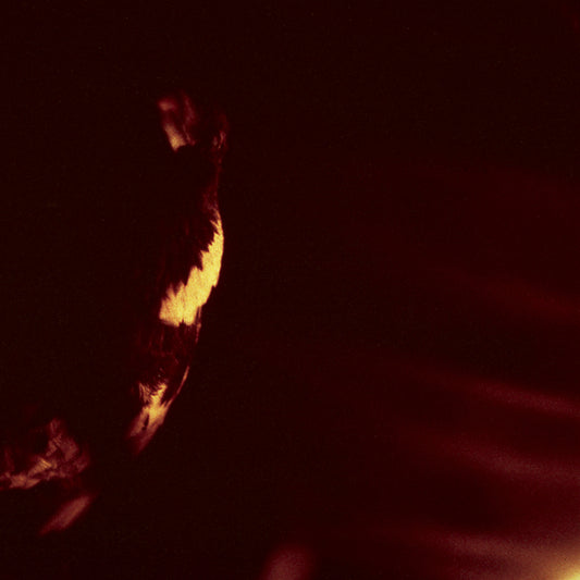 Skepticism - Stormcrowfleet 2LP